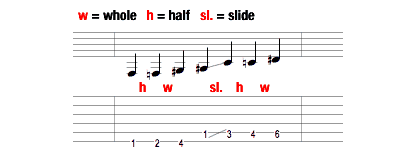 Half>Whole>Slide